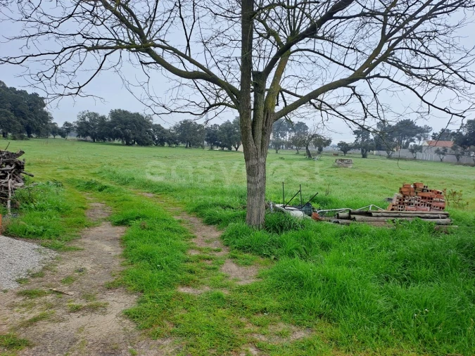 Terreno para Venda em Alhos Vedros Foto 2