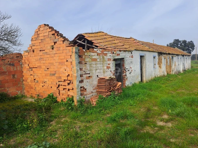 Terreno para Venda em Alhos Vedros Foto 6