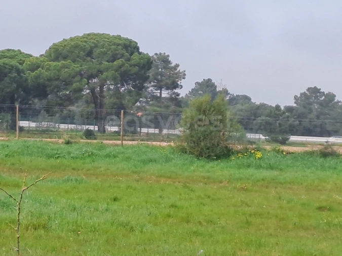 Terreno para Venda em Alhos Vedros Foto 13