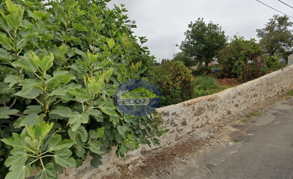 Terreno para Venda em São Paio de Oleiros Foto 4