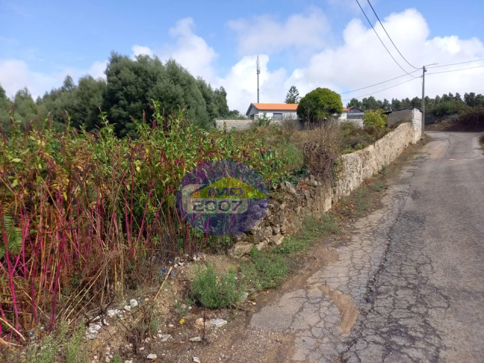 Terreno para Venda em São Paio de Oleiros Foto 11