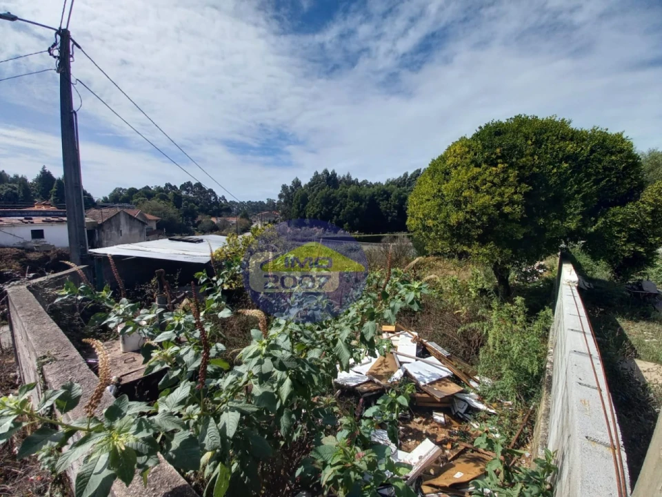 Terreno para Venda em São Paio de Oleiros Foto 16