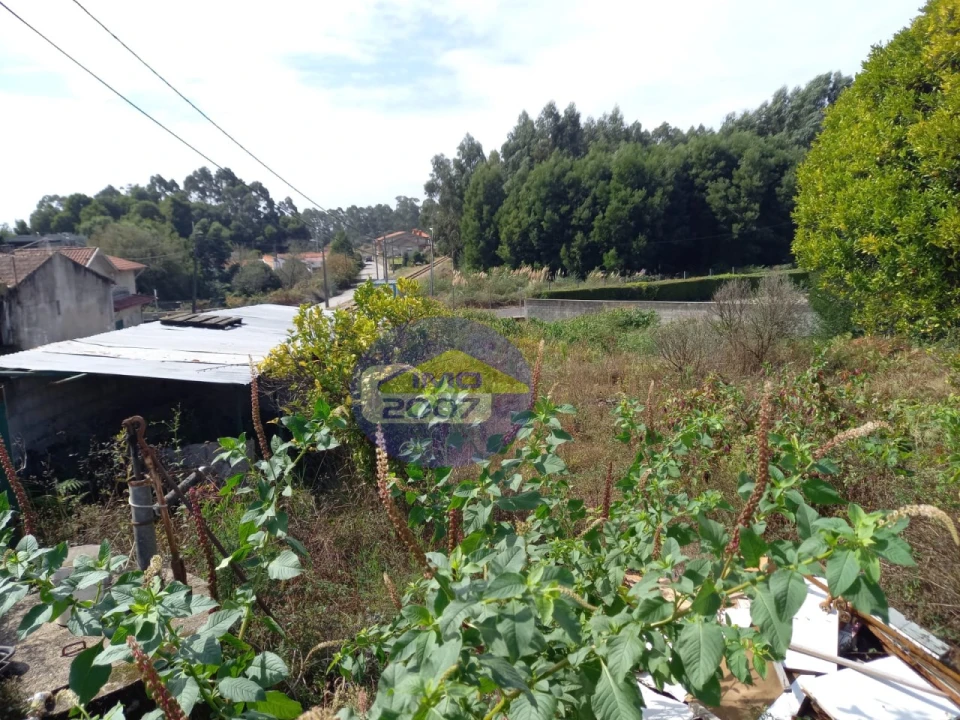 Terreno para Venda em São Paio de Oleiros Foto 17