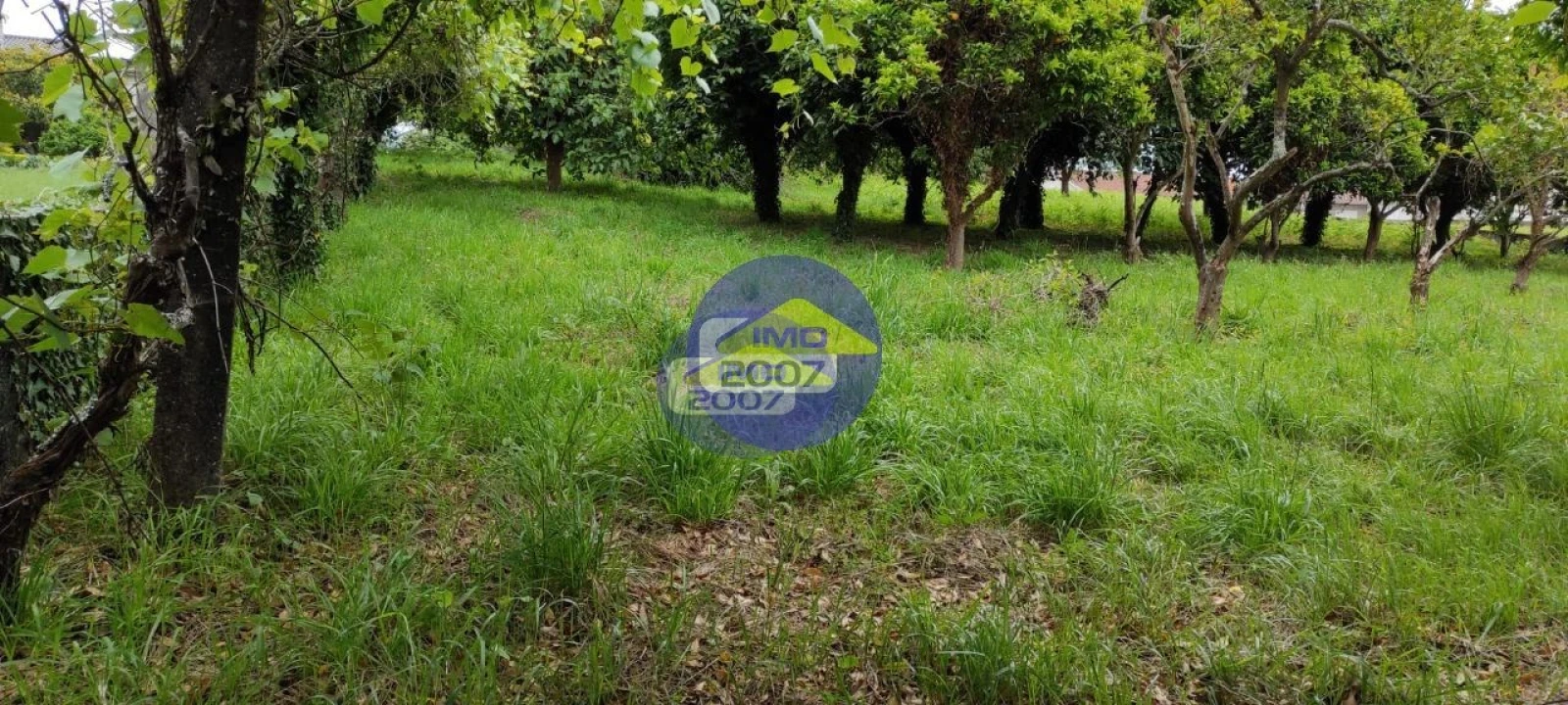 Terreno para Venda em O. Azeméis, Riba-Ul, Ul, Macinhata Seixa, Madail Foto 3