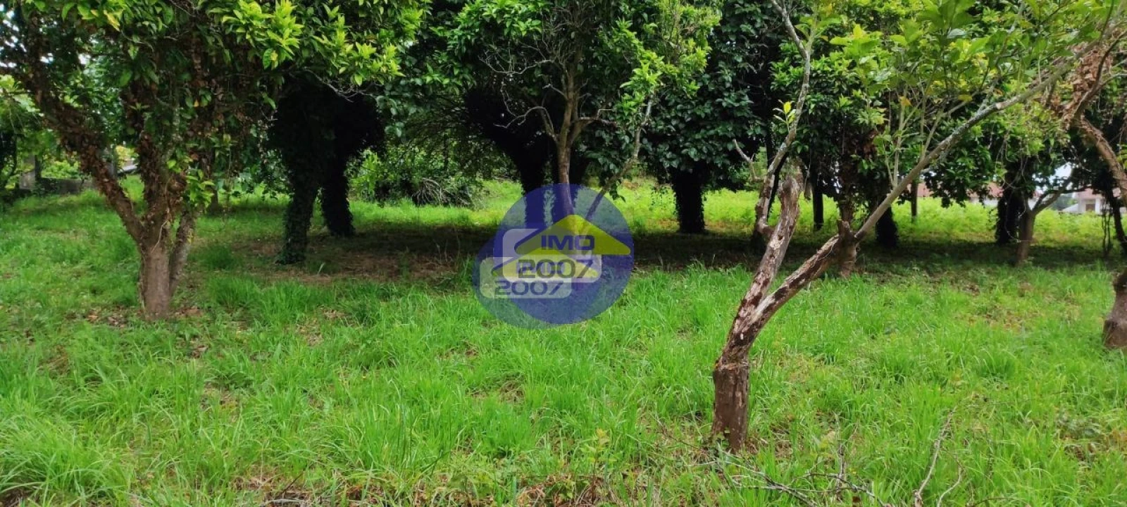 Terreno para Venda em O. Azeméis, Riba-Ul, Ul, Macinhata Seixa, Madail Foto 4