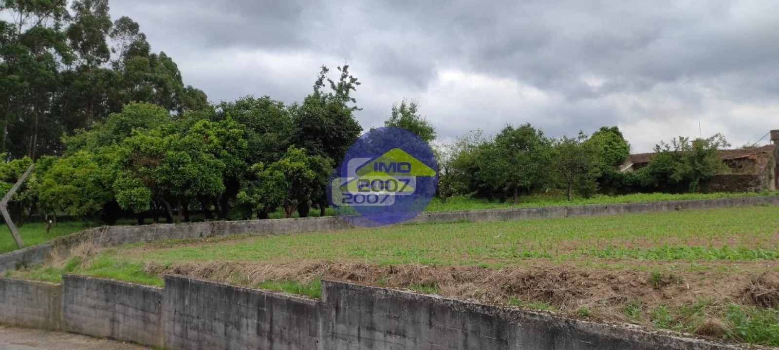 Terreno para Venda em O. Azeméis, Riba-Ul, Ul, Macinhata Seixa, Madail Foto 7