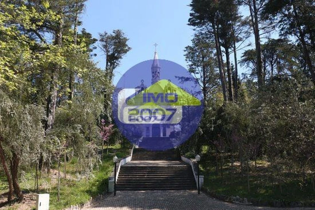 Terreno para Venda em O. Azeméis, Riba-Ul, Ul, Macinhata Seixa, Madail Foto 20