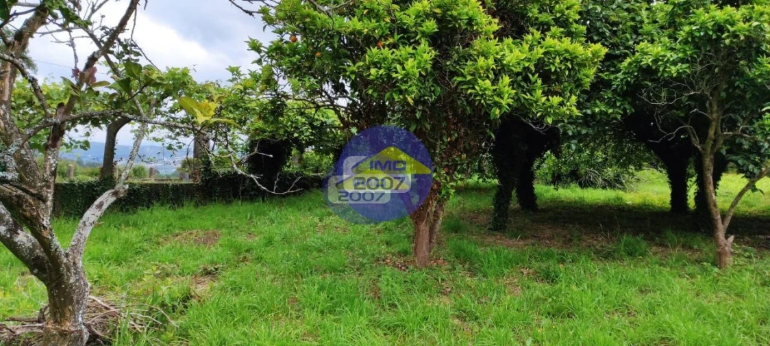 Terreno para Venda em O. Azeméis, Riba-Ul, Ul, Macinhata Seixa, Madail Foto 5