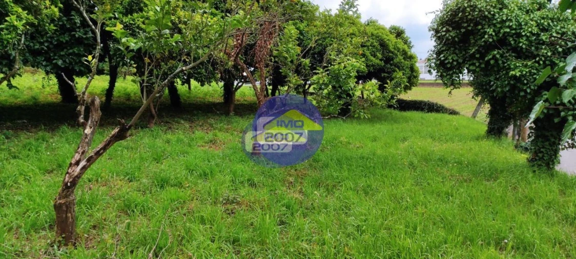 Terreno para Venda em O. Azeméis, Riba-Ul, Ul, Macinhata Seixa, Madail Foto 16