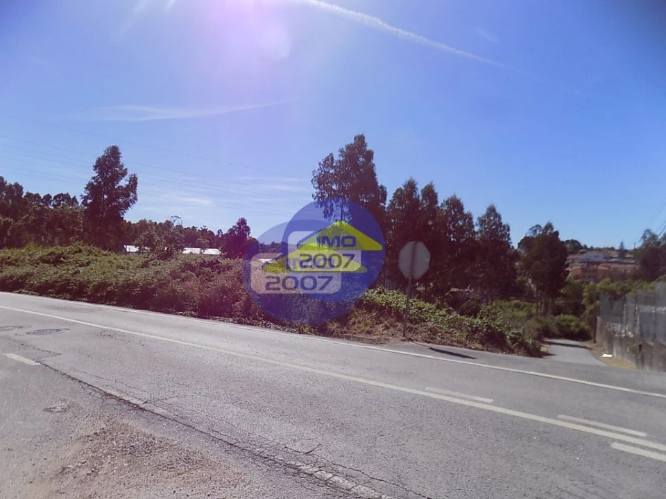 Terreno para Venda em São Paio de Oleiros Foto 2