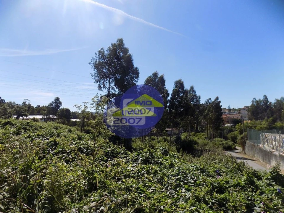 Terreno para Venda em São Paio de Oleiros Foto 3
