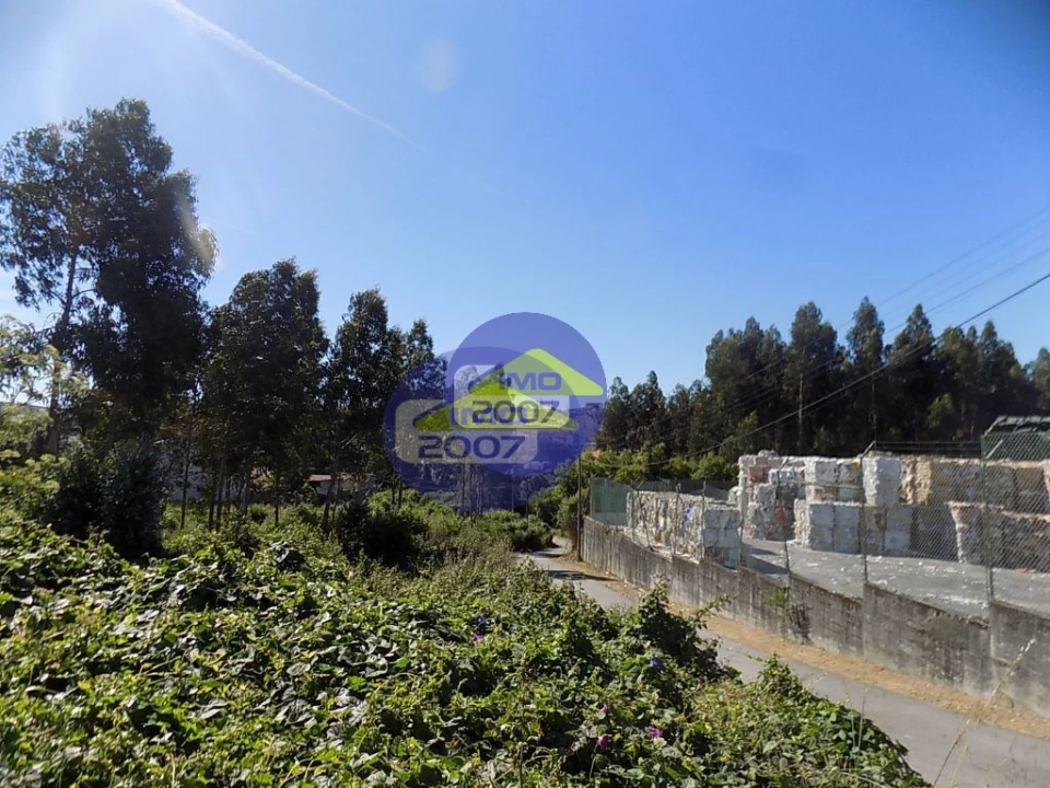 Terreno para Venda em São Paio de Oleiros Foto 4