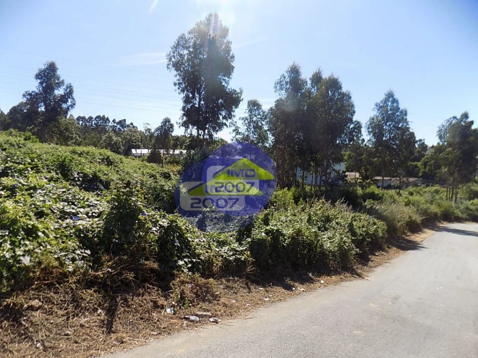 Terreno para Venda em São Paio de Oleiros Foto 5