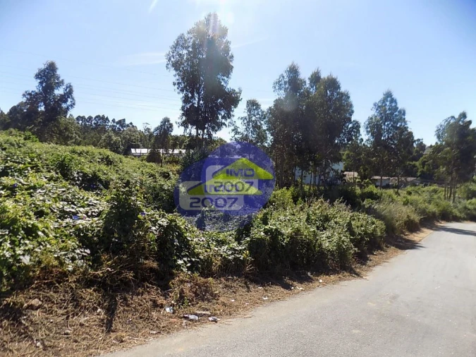 Terreno para Venda em São Paio de Oleiros Foto 5