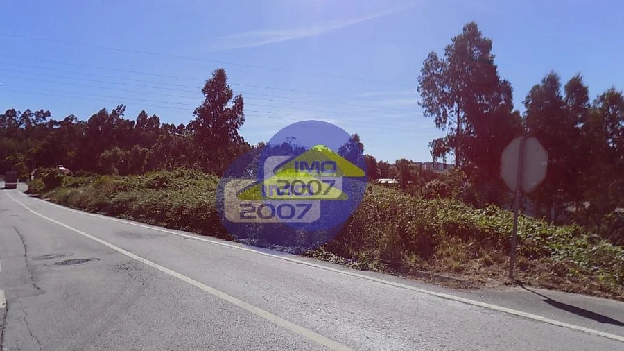 Terreno para Venda em São Paio de Oleiros