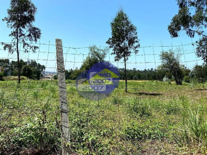 Terreno para Venda em Rio Meão Foto 7