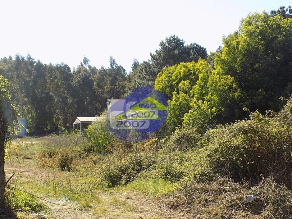 Terreno para Venda em Lourosa Foto 24
