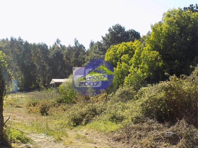 Terreno para Venda em Lourosa Foto 24