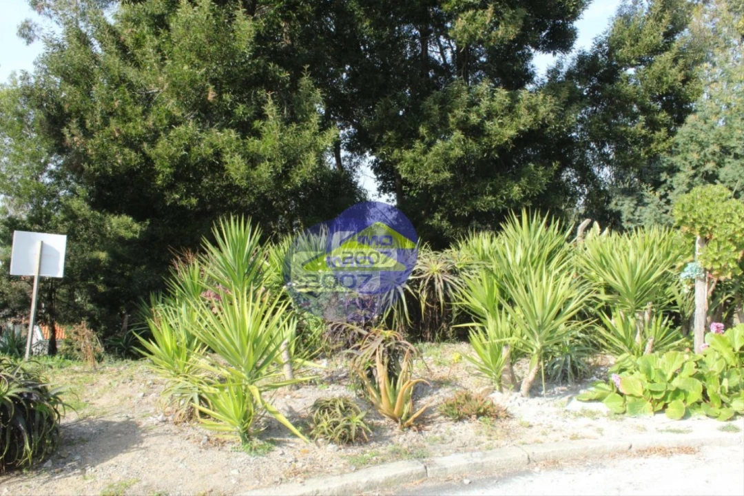 Terreno para Venda em Grijó e Sermonde Foto 4