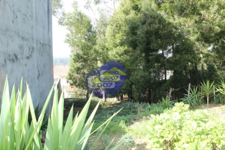 Terreno para Venda em Grijó e Sermonde Foto 5