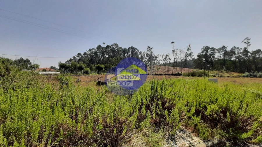 Terreno para Venda em Fajões Foto 13