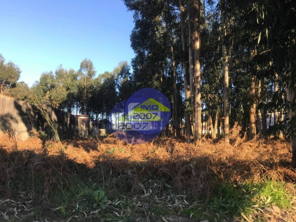 Terreno para Venda em Serzedo e Perosinho Foto 5