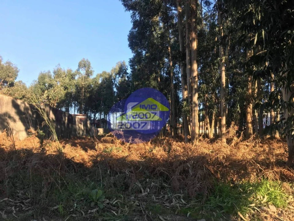 Terreno para Venda em Serzedo e Perosinho Foto 6