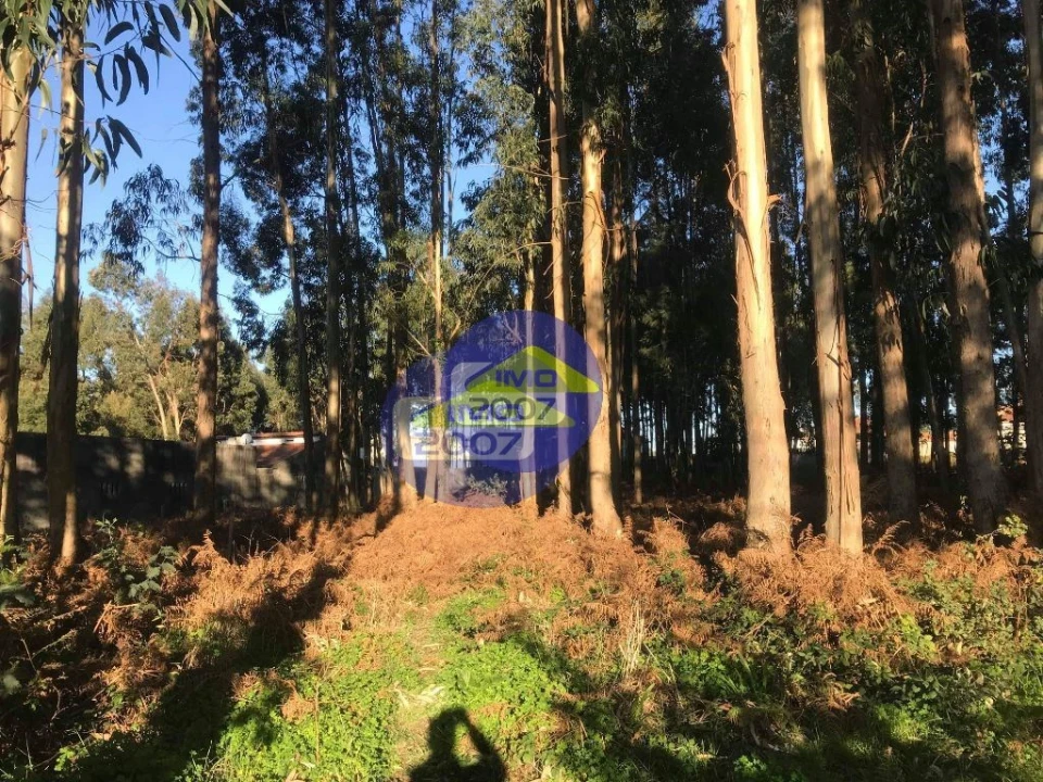 Terreno para Venda em Serzedo e Perosinho Foto 8