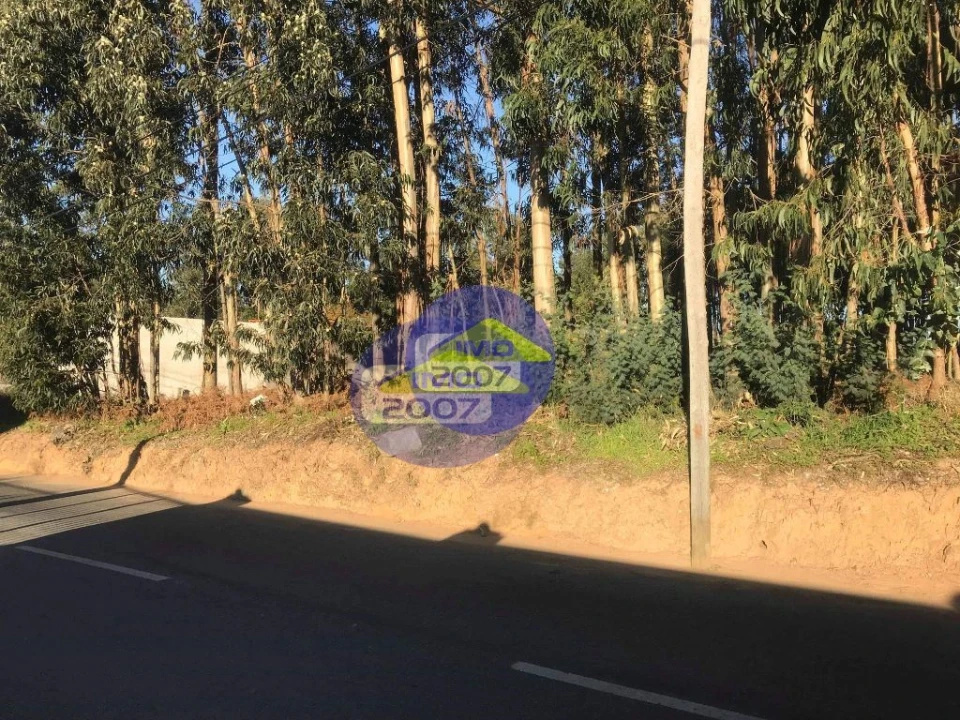 Terreno para Venda em Serzedo e Perosinho Foto 9