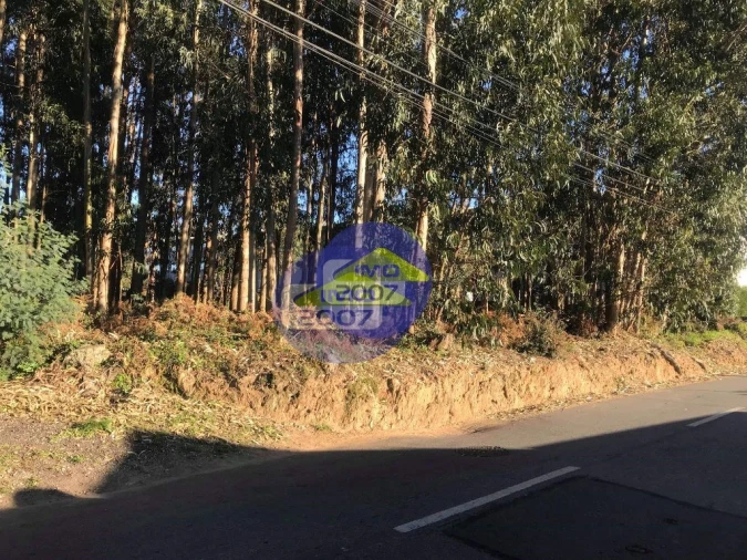 Terreno para Venda em Serzedo e Perosinho