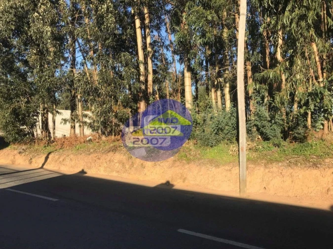 Terreno para Venda em Serzedo e Perosinho Foto 9