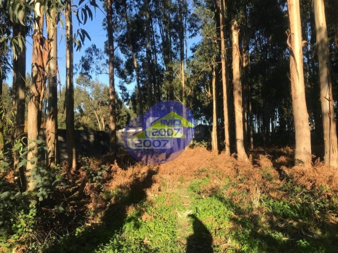 Terreno para Venda em Serzedo e Perosinho Foto 11