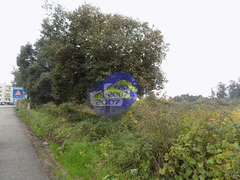 Terreno para Venda em Ovar, São João, Arada e São Vicente de Pereira Jusã Foto 4