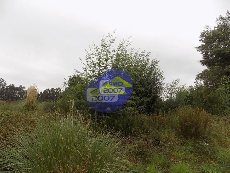 Terreno para Venda em Ovar, São João, Arada e São Vicente de Pereira Jusã Foto 20