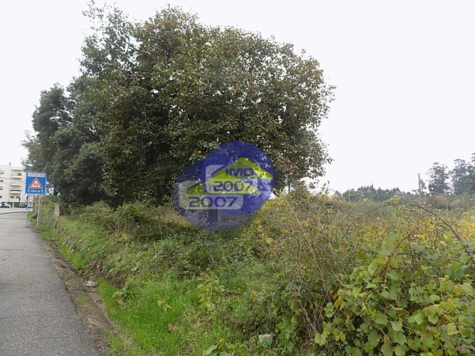 Terreno para Venda em Ovar, São João, Arada e São Vicente de Pereira Jusã Foto 4