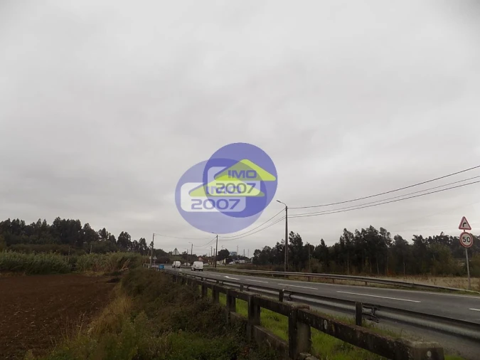 Terreno para Venda em Ovar, São João, Arada e São Vicente de Pereira Jusã Foto 6