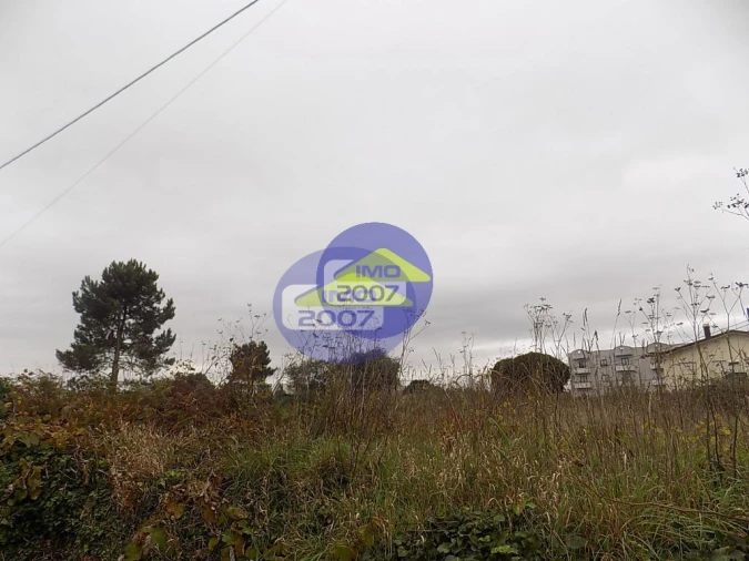 Terreno para Venda em Ovar, São João, Arada e São Vicente de Pereira Jusã Foto 13