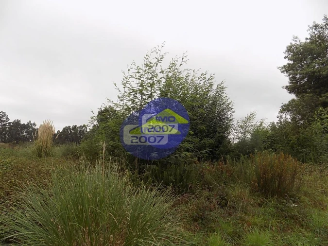 Terreno para Venda em Ovar, São João, Arada e São Vicente de Pereira Jusã Foto 20