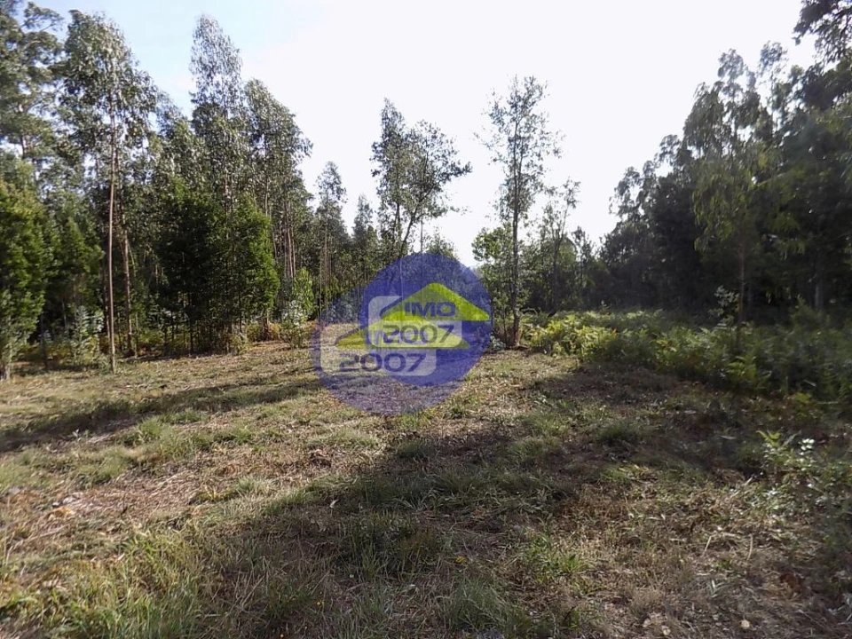 Terreno para Venda em Anta e Guetim Foto 1