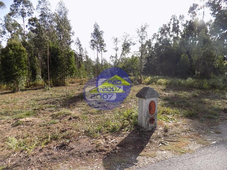 Terreno para Venda em Anta e Guetim Foto 2