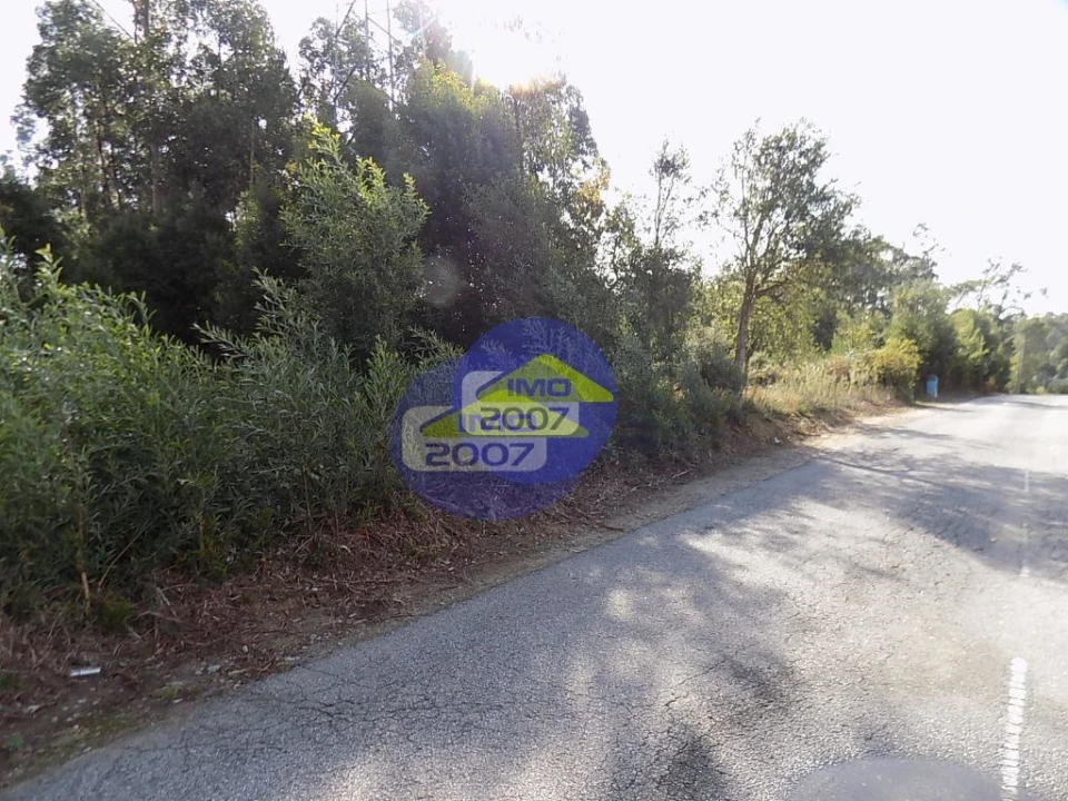 Terreno para Venda em Anta e Guetim Foto 4