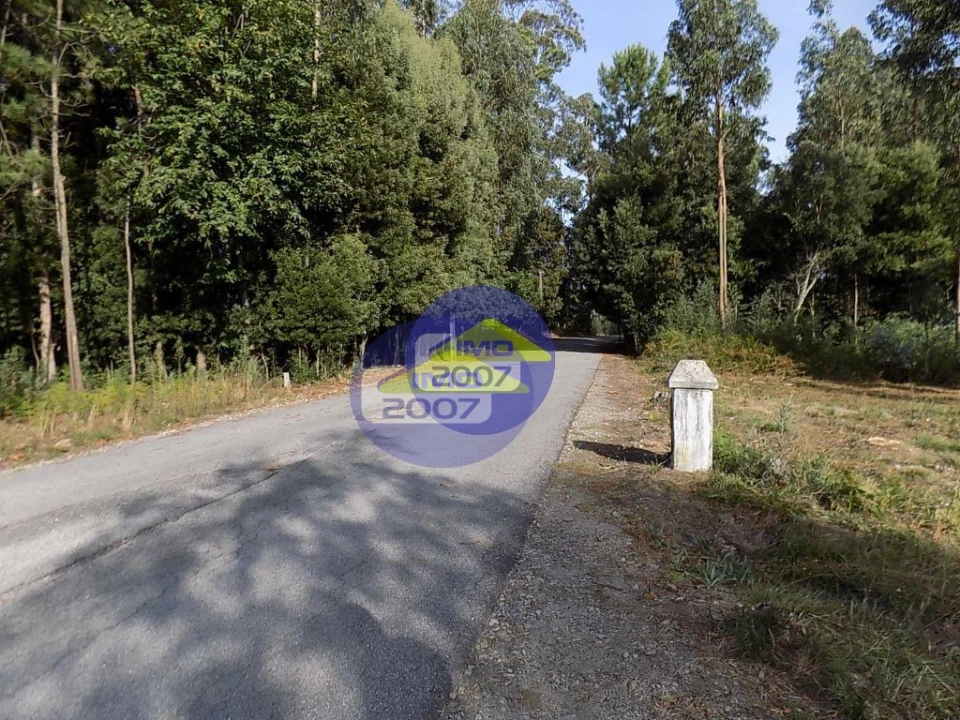 Terreno para Venda em Anta e Guetim Foto 5