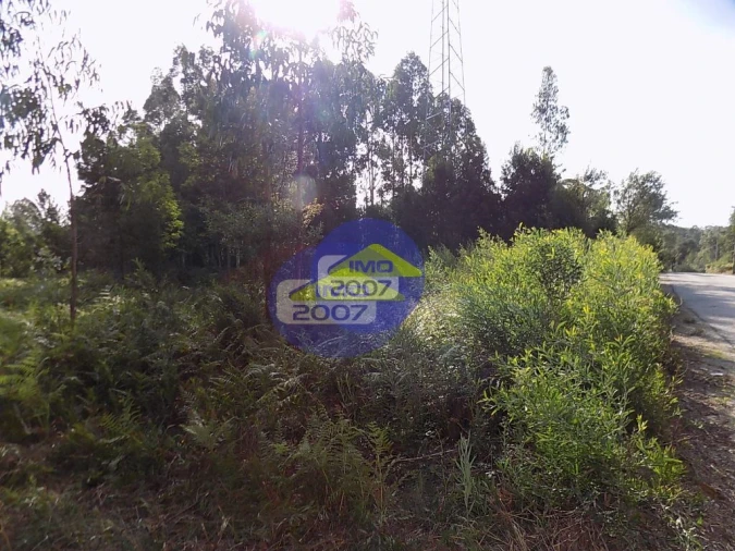 Terreno para Venda em Anta e Guetim Foto 3