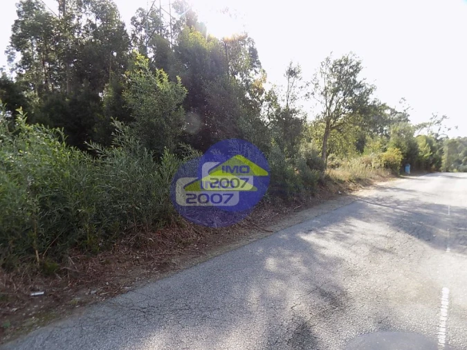 Terreno para Venda em Anta e Guetim Foto 4