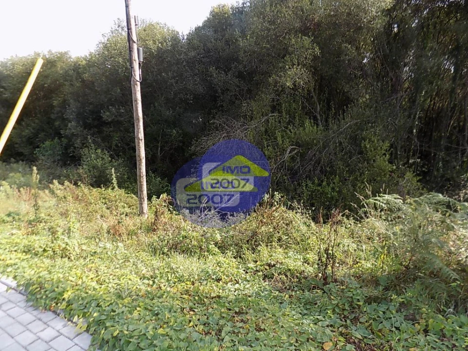 Terreno para Venda em Rio Meão Foto 6