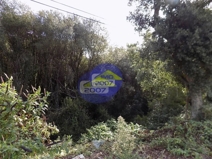 Terreno para Venda em Rio Meão Foto 5