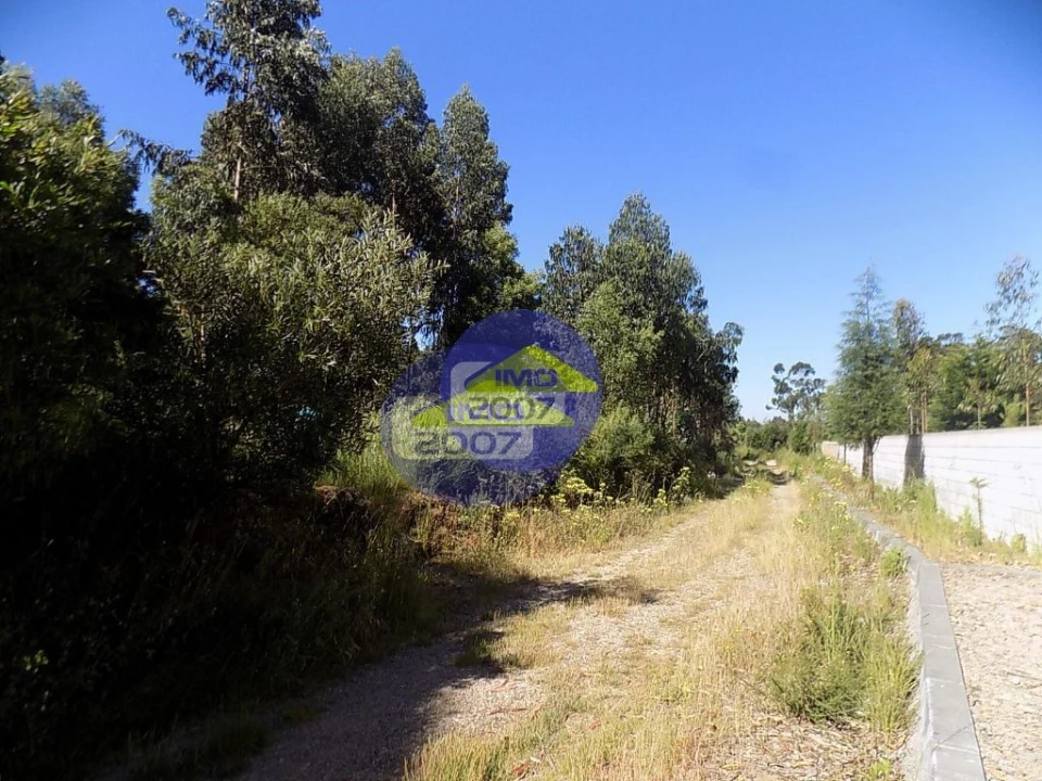 Terreno para Venda em Rio Meão Foto 3