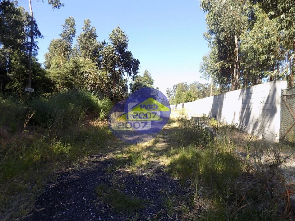 Terreno para Venda em Rio Meão Foto 13