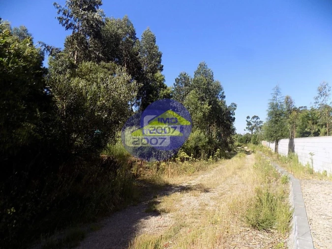 Terreno para Venda em Rio Meão Foto 3
