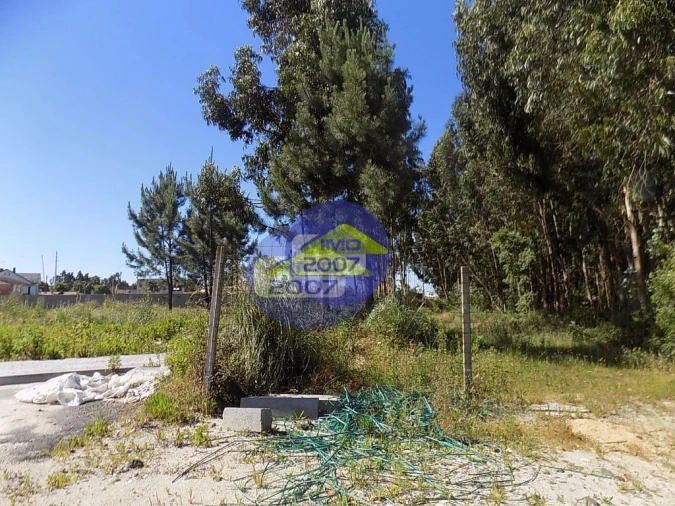 Terreno para Venda em Rio Meão Foto 5